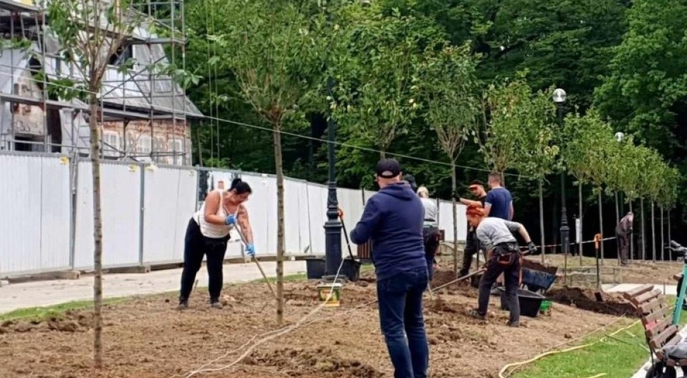 Trwa porządkowanie zieleni w mieście, fot. z arch. UM