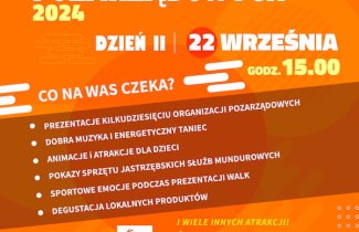 Festiwal Organizacji Pozarządowych w Parku Zdrojowym