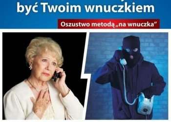 Czujna jastrzębianka nie dała się oszukać